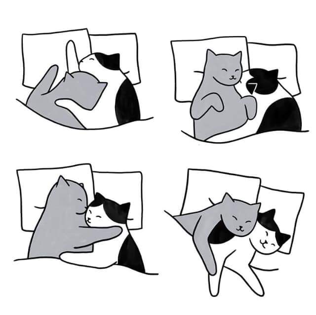 gatitos_qctd's tweet photo. https://t.co/8UdHSwhNOR