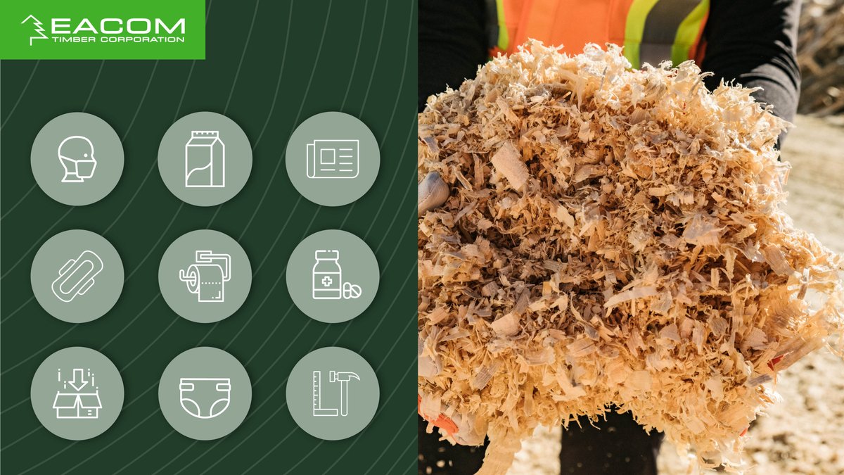 EACOMTimberCo's tweet photo. Avez-vous une idée de tout ce qui contient de la fibre de bois ? Papier journal, emballage alimentaire ou de médicaments ou infrastructures essentielles. Chaque employé d’EACOM contribue à rendre disponibles des produits essentiels. Merci et bravo à nos héros! #EquipeEACOM https://t.co/sRY4AGpldi