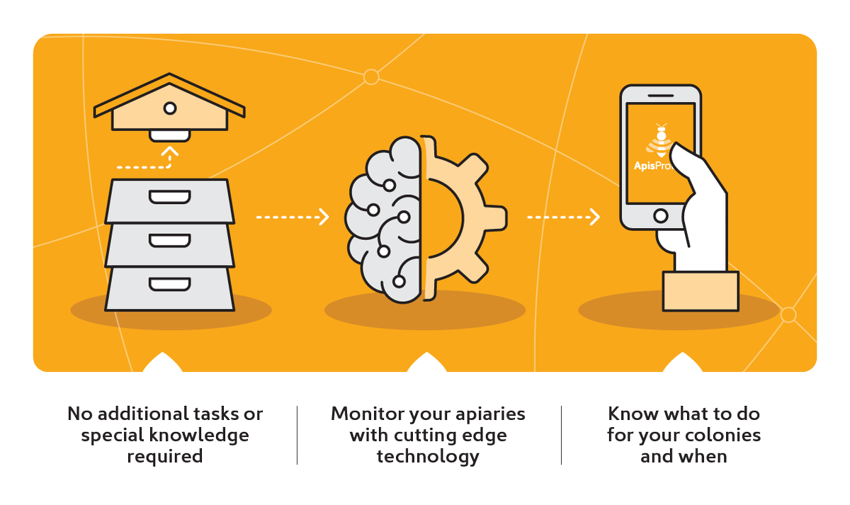 ApisProtect's tweet photo. ApisProtect has developed a technology that uses the Internet of Things and machine learning to monitor the strength of millions of honeybees around the world.
Sign up to our newsletter to learn more about our bee monitoring system: https://t.co/ZgaOSNT6oX
#honeybees #beemonitor https://t.co/Ss6UGtINbi