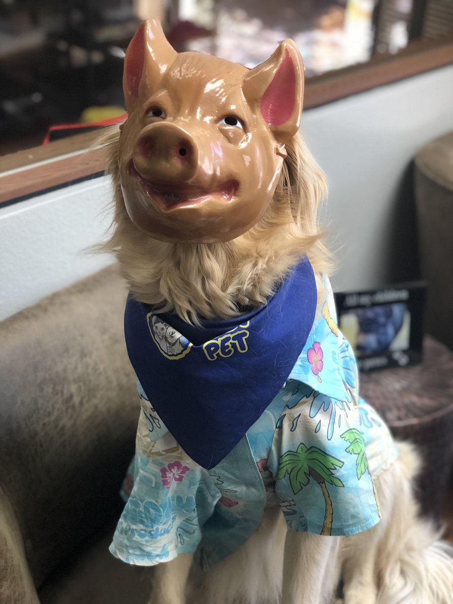 No Mask, No Service ✨ Remember, safety first everyone!!