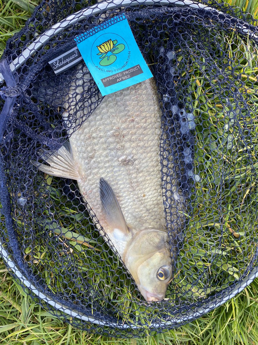 ArjanKoster1's tweet photo. Mooie vangst vanavond 🎣 #brasem #woldA https://t.co/QVMl1KuoqB