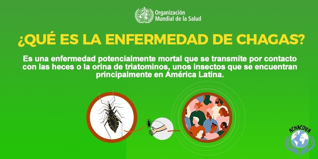 achacova's tweet photo. ¿Sabías que?
En las últimas décadas, se ha detectado cada vez más en los Estados Unidos de América y el Canadá, en muchos países europeos y algunos países del Pacífico Occidental. 

#WorldChagasDay  #DíaMundialChagas  #DiaMundialChagas #Chagas #chagas #Achacova #achacova https://t.co/6OmN8JwAd9