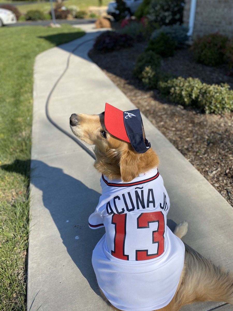 annaclairer01's tweet photo. @Braves @nylabone @kroger https://t.co/xDxbof1KjB
