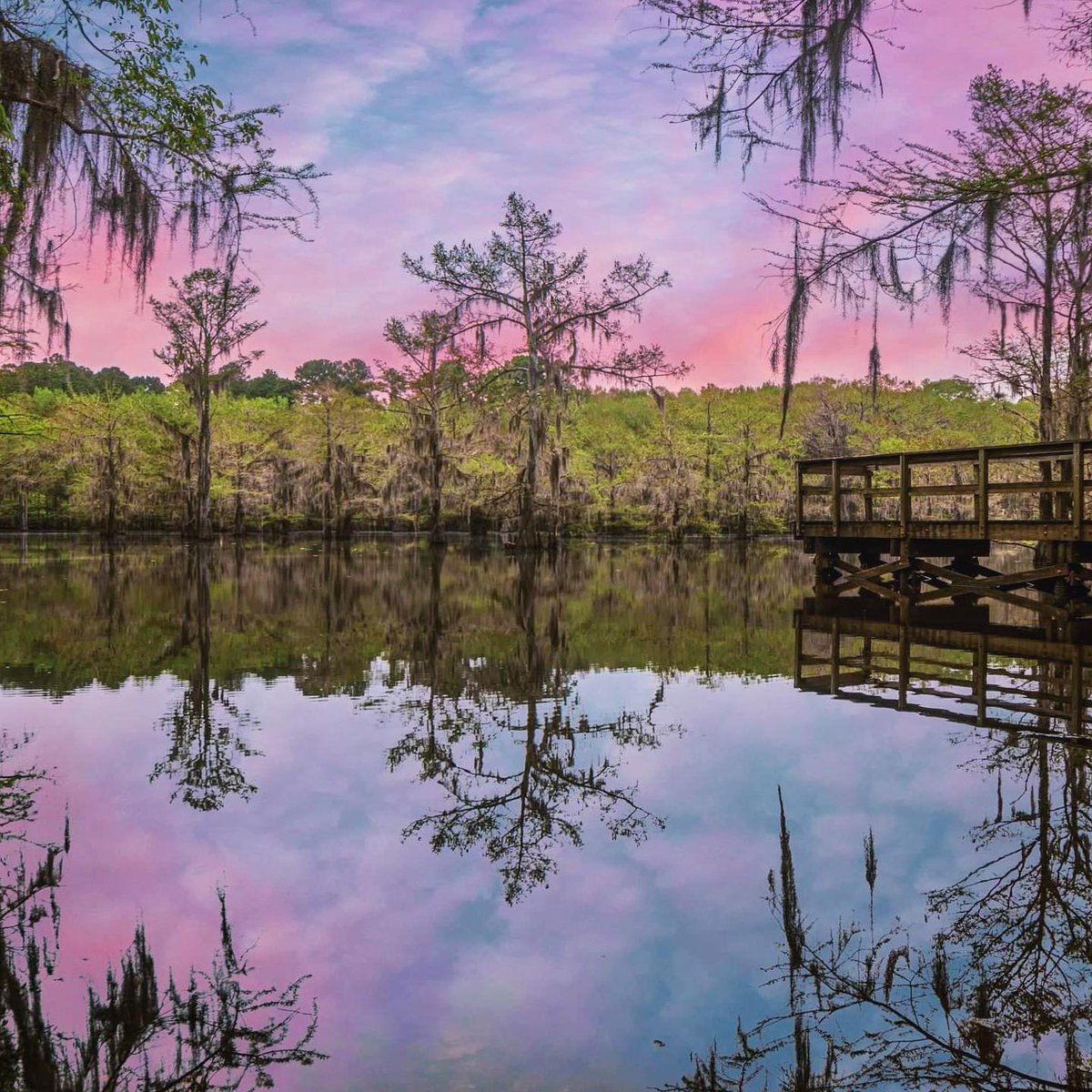 TravelTexas's tweet photo. Clear water and cotton candy skies! RT if you could use a Texas sunset right about now.
📷 by: @steve_riella
Stay at home to keep everyone safe. We know we can’t #TexasToDo now, but hopefully we can #TexasToDoSoon. https://t.co/hpGHFLtSt3