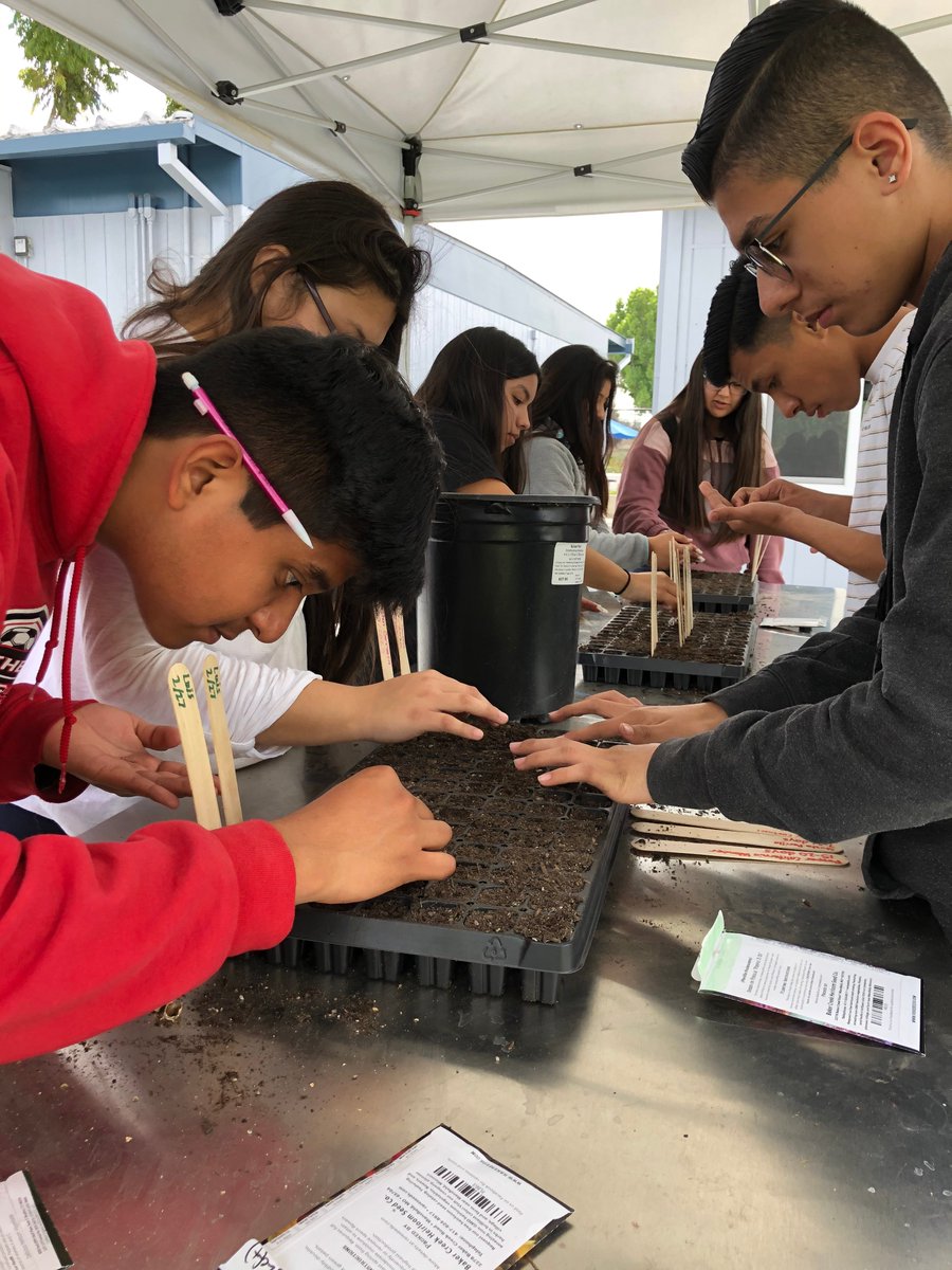 OdysseyPUSD's tweet photo. Odyssey is growing. Are you an educator committed empowering all learners to live lives of their own design? We are @ParamountUSD and @bigpiclearning #GetWordOut Apply at https://t.co/5FKKPXv6z9 https://t.co/2AryFDLYPf