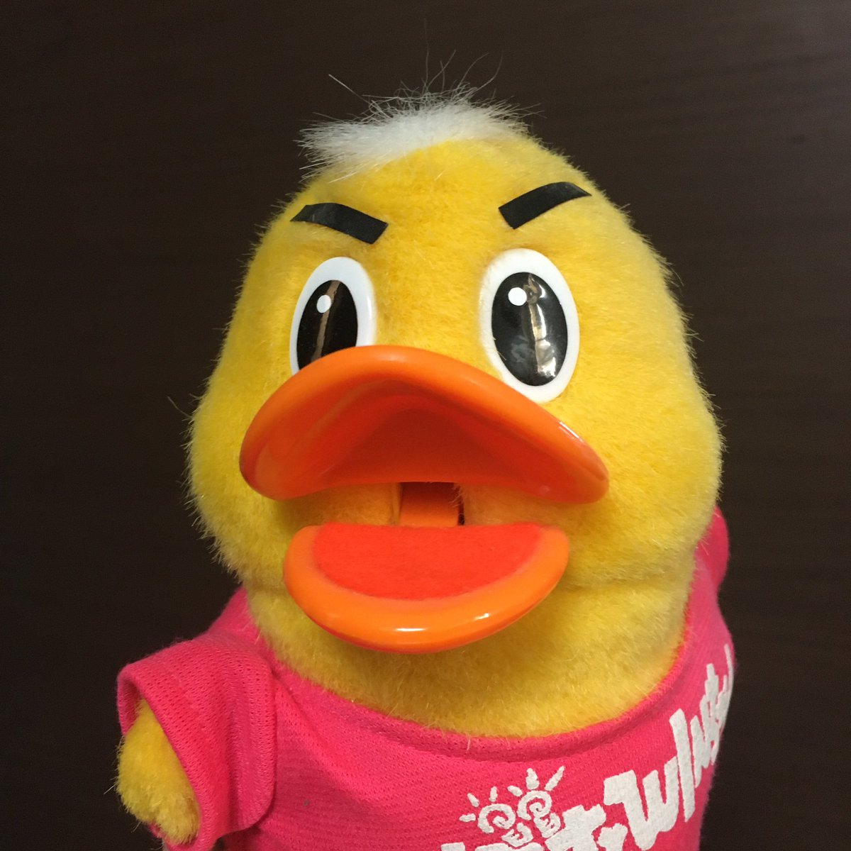 なんですとwinちゃん なんですとwinちゃん