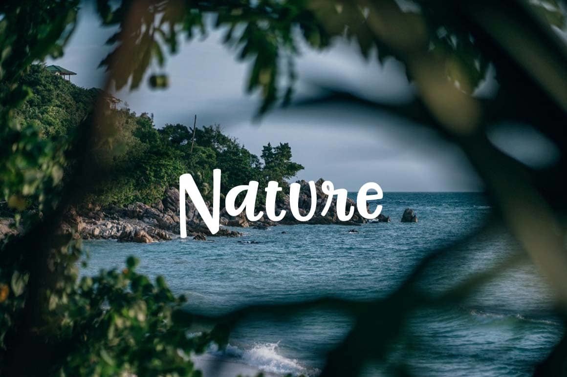 If the world is against nature,then am against the world💪
#naturelovers @ReEne_15 @ElmGrace @NFAUG #strongertogetherwr @256Solomon @HansTenywa @robert_mbongo @ClimartU @Charlottedl2001 @foe_us @heydelwin @NatureUganda @JeffreeStar @SustDev #forestry