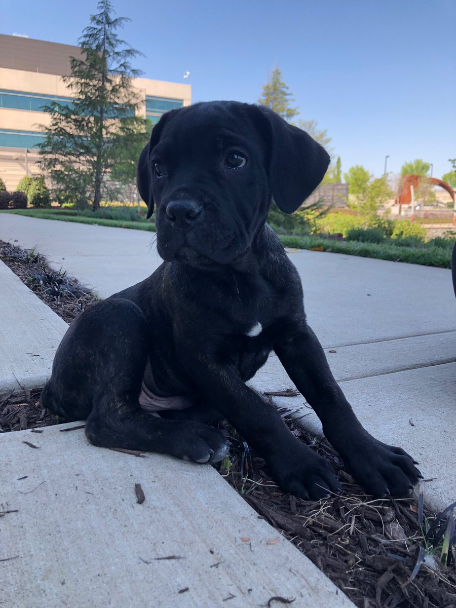 darbycrockettt's tweet photo. Meet Bruce y’all https://t.co/SYKYgitnsA