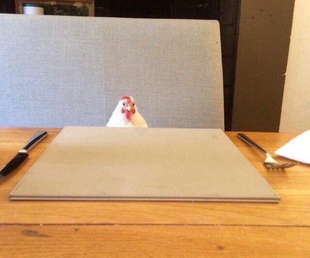 softyundong's tweet photo. i keep forgetting this acc exists oop-

im not dead just on a priv lockdown and im having a fairly great time there https://t.co/xgqjfnVC8c