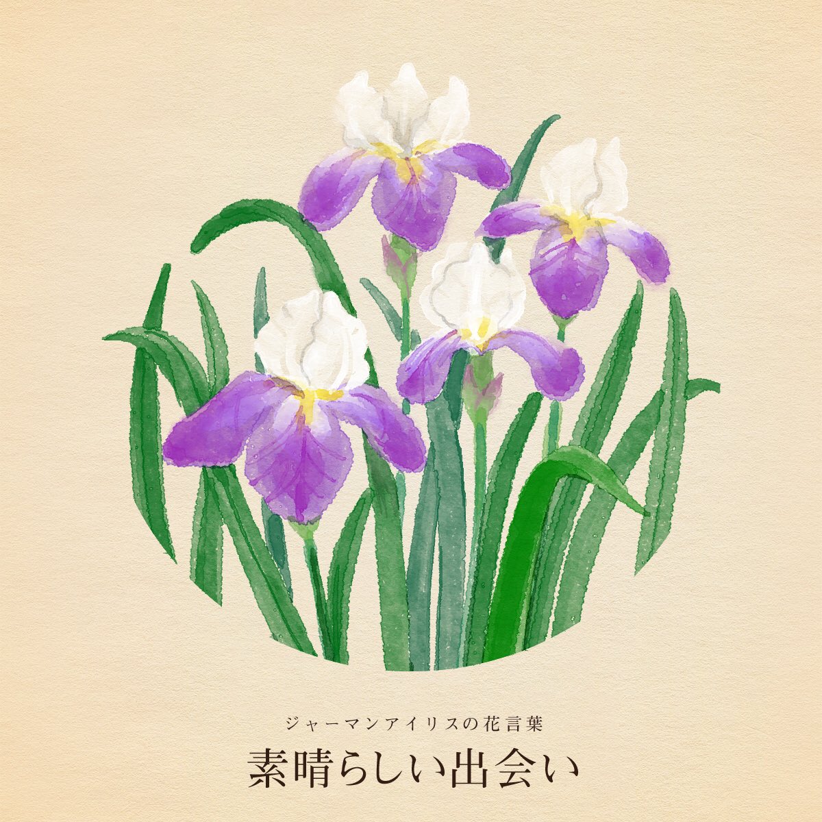 はな言葉 新刊出ました きょう4月17日は なすび記念日 少年保護デー 五平もち記念日 恐竜の日 Queenの日 世界ヘモフィリアデー ハローワークの日 職安記念日 誕生花はジャーマンアイリス 花言葉 素晴らしい出会い はな言葉 新刊出ました きょう4月17日は なすび記念日 少年保護デー 五平もち記念日 恐竜の日 Queenの日 世界ヘモフィリアデー ハローワークの日 職安記念日 誕生花はジャーマンアイリス 花言葉 素晴らしい出会い