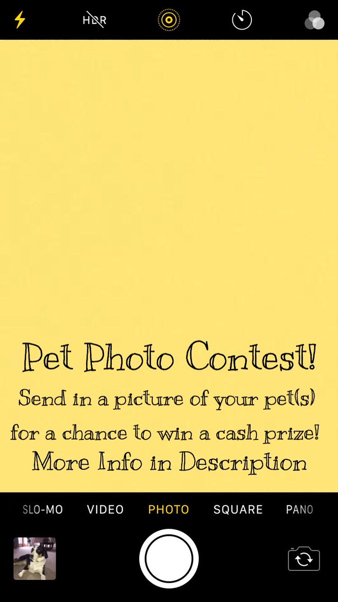 BSUHobsonUnion's tweet photo. Loving the pet pics we are receiving! If you wanna enter the contest checkout our Instagram@ bsuhobsonunion https://t.co/Sc32I9QdQw