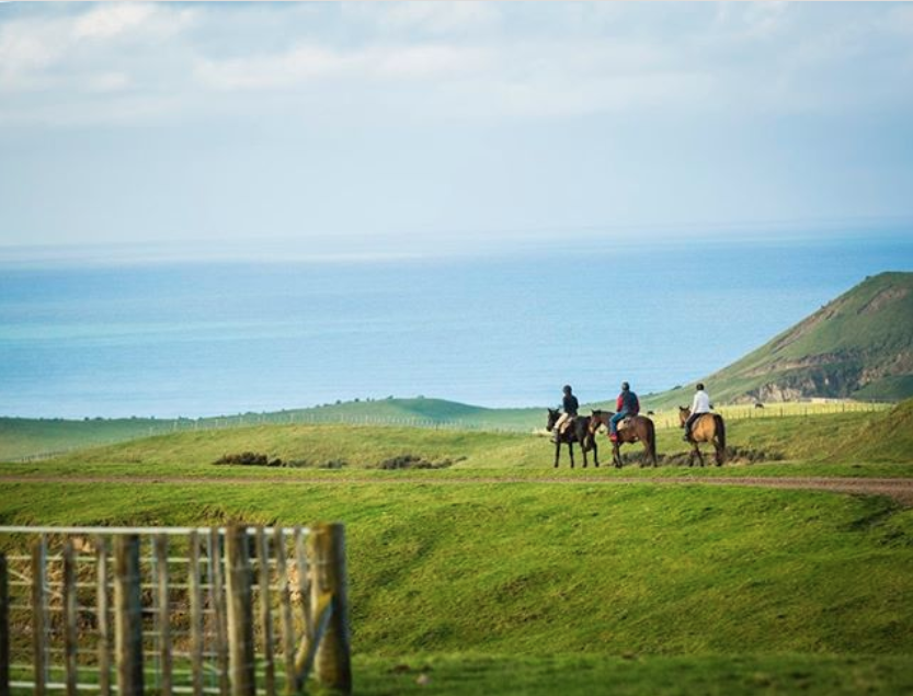 VictoriaKingPR's tweet photo. Robertson Lodges will be sharing some of their favorite #RobertsonLodgesMemories to bring the beauty of New Zealand to your newsfeeds. Join in and share your most treasured #RobertsonLodgesMemories! 
#CapeKidnappers #KauriCliffs #MatakauriLodge #RelaisChateaux #LuxuryLodgesNZ https://t.co/ACBB0Xv2sp