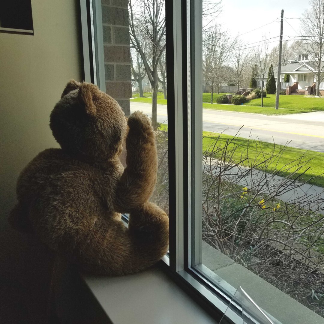 Make sure to wave to our stuffie friends when you drive by the library! They sure miss playing with everyone!