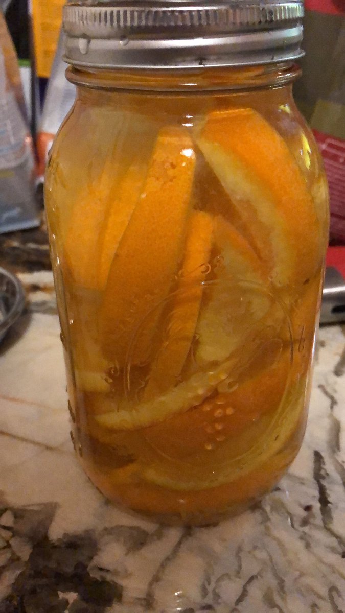 michaellgoodwin's tweet photo. So this just happened #everclear #oranges #letsit https://t.co/TUauOQQlZm