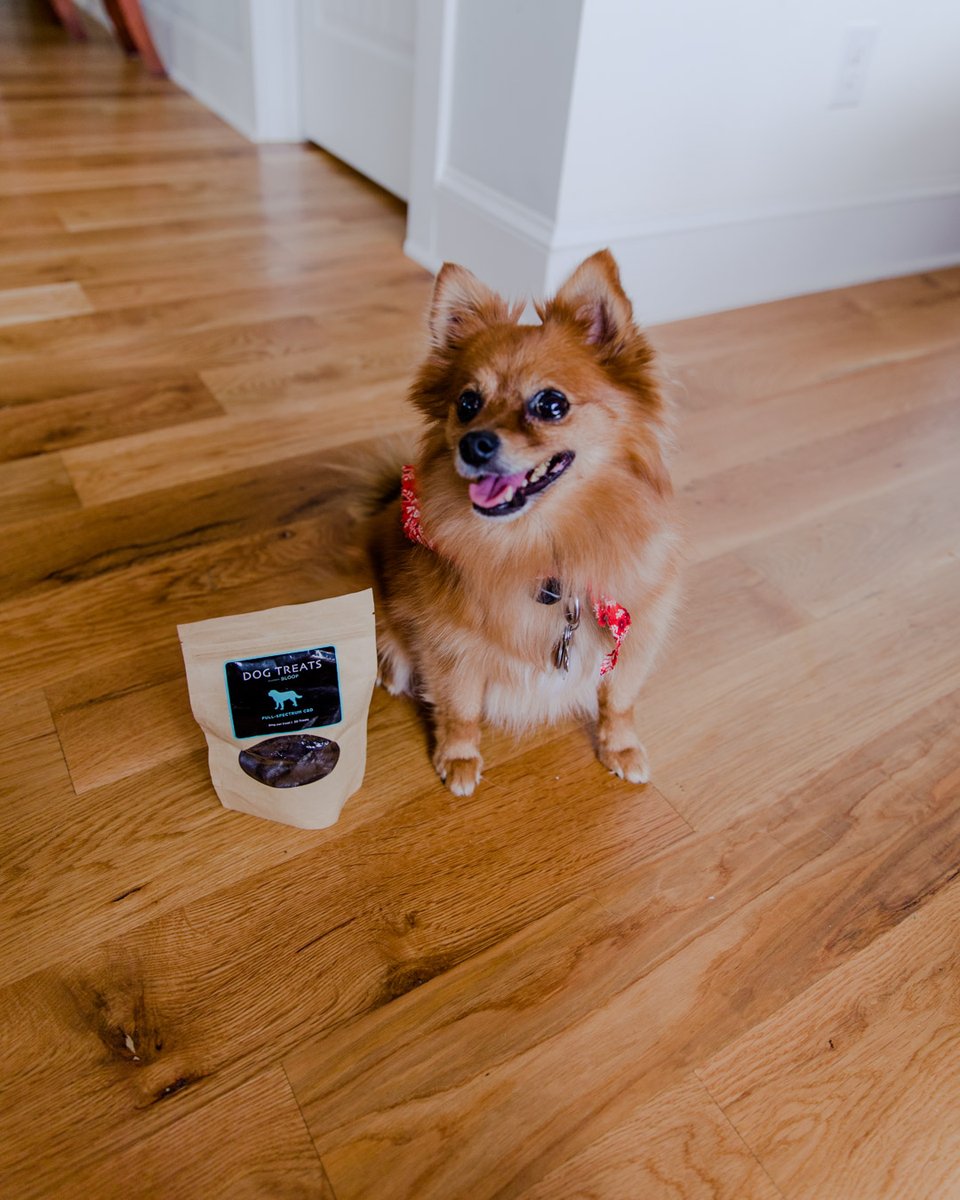 MINGOCBD's tweet photo. Wag your tail for some CBD Dog Treats!
___________________________________________
 RETWEET our post to enter yourself into our weekly give-a-way!   Choosing 1 winner every Sunday at 12am PST.   https://t.co/anLmV4MaPc  #CBD #CBDGiveaway https://t.co/JRgZlkzhfo