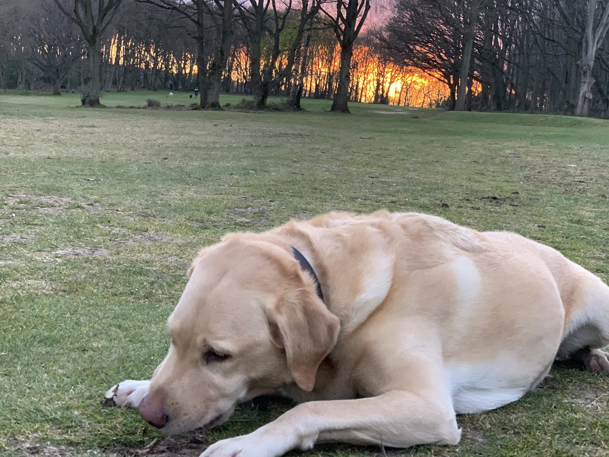 Neil Evans tweet media