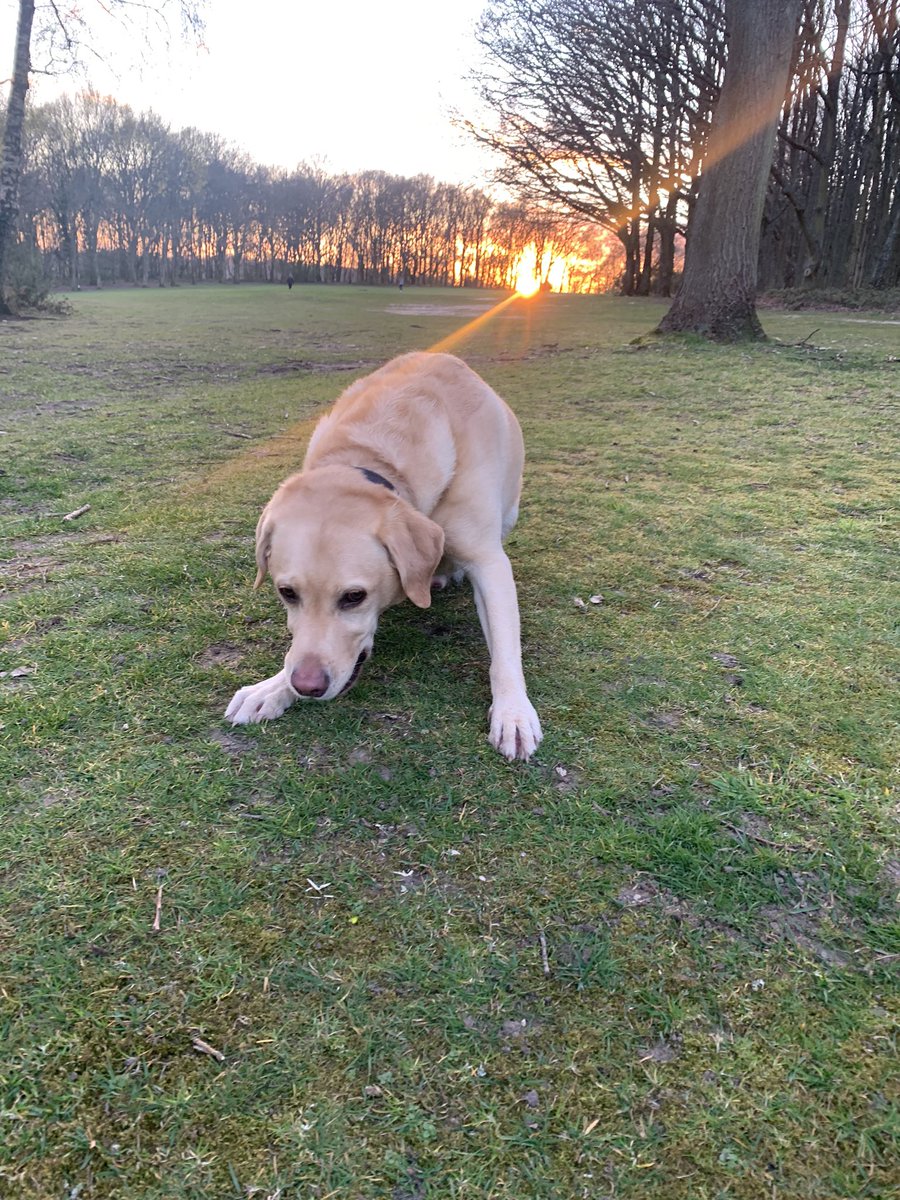 Neil Evans tweet media