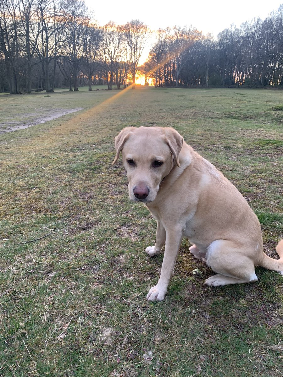 Lucky to catch this fantastic sky and thoughtful around those no longer here to see it.  Thank you #NHSheroes #NHSThankYou #chorleywood <a href="/chorleywoodres/">ChorleywoodResidents</a> <a href="/inrickmansworth/">Rickmansworth</a>