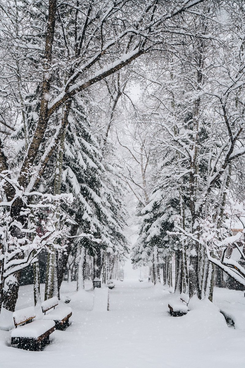 AspenSnowmass's tweet photo. An April blanket of snow makes for a peaceful downtown ❄️( 📷 : Tamara Susa ) https://t.co/SrYy5m1iUQ