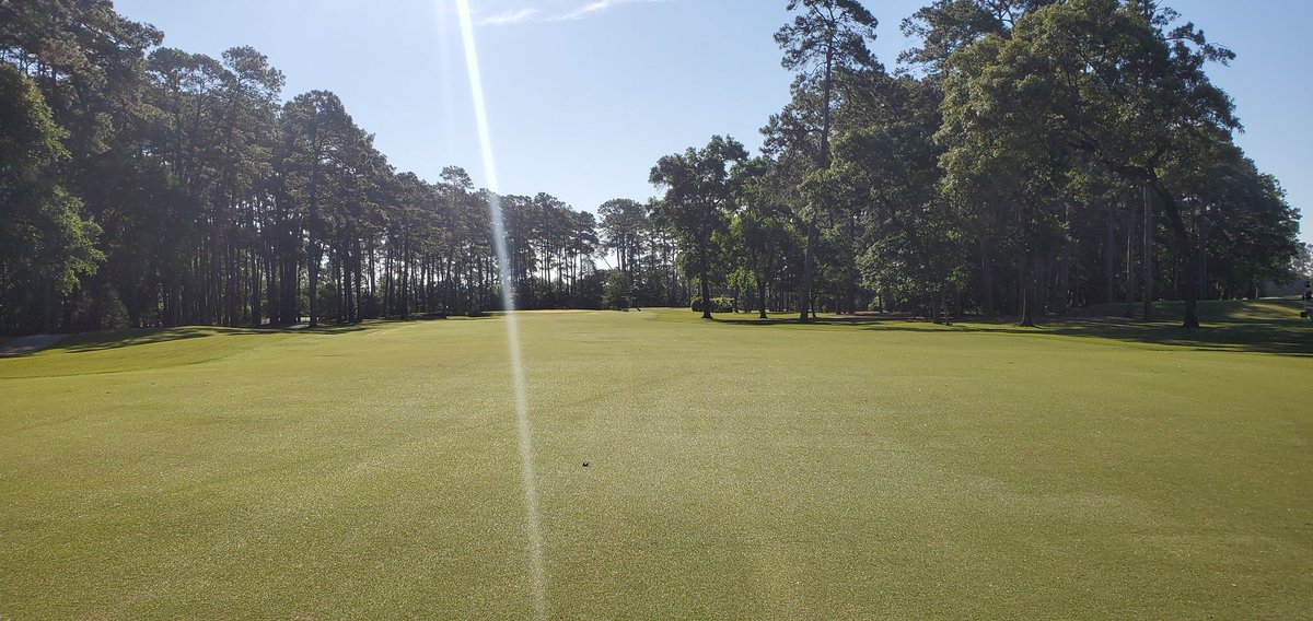 She's a shining today.