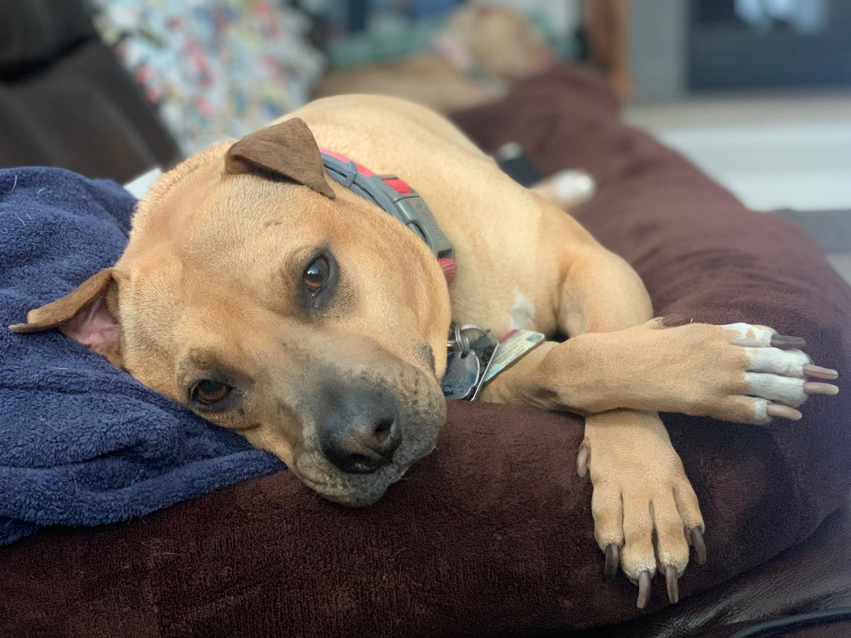 Me and my favorite girls!! :)