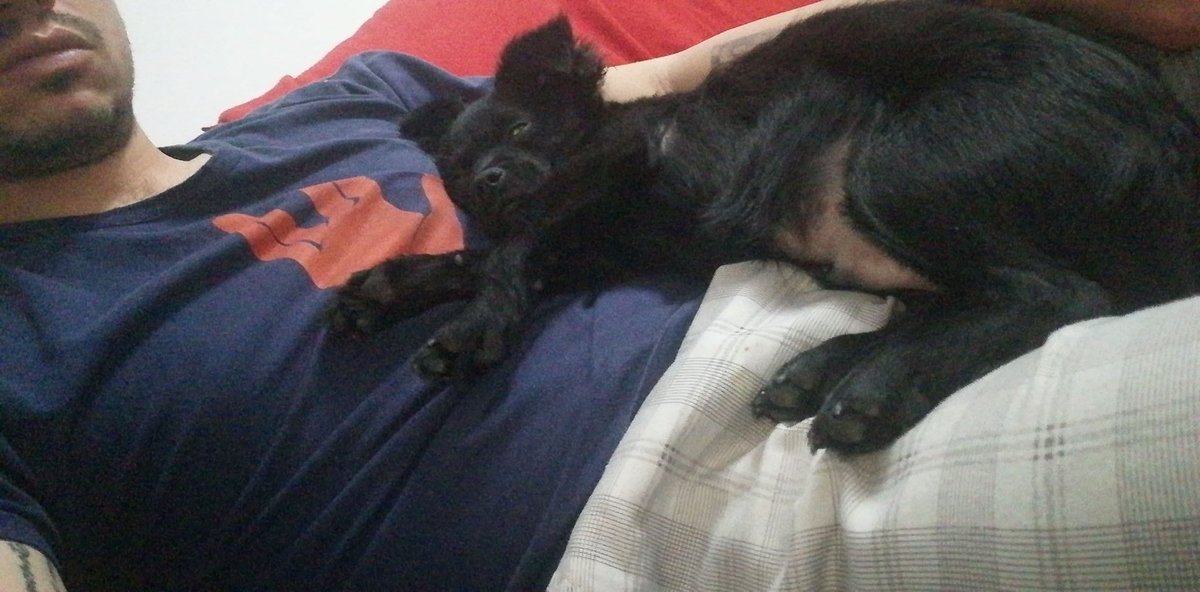 RynoLFC's tweet photo. @NotTodayEric Bobby, taking a nap. https://t.co/I6ASQTp5l2
