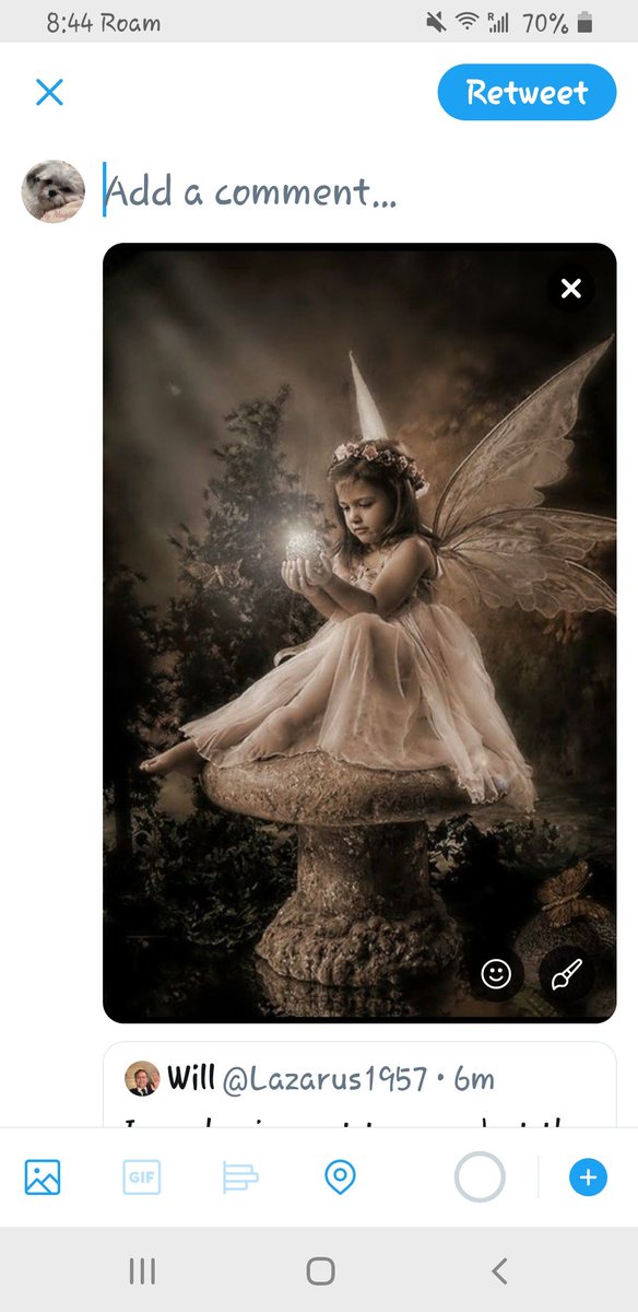 auntnannie's tweet photo. https://t.co/tOddCN4yFy