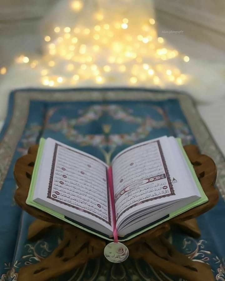 -
And every passing day will be the same as the last 
وكل مُر سيمضي مثل سابقهِ والله يرسل بعد الحزن أفراحاً 🖇🕊

-
حكمة اليوم :
إنَّما نحيا على أمَلٍ ، فأحسِنوا الظنَّ بالرَّحمنِ وابتَهِجُوا 💚