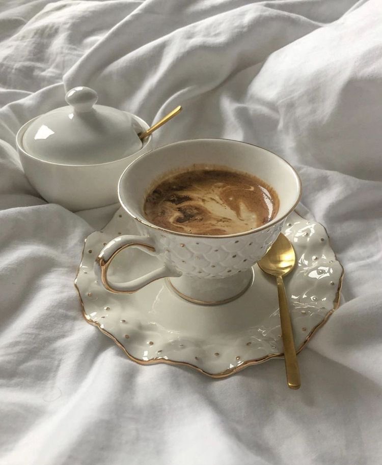 softauras's tweet photo. manifesting a relaxing and very french morning, spent reading classics and drinking hot tea ♡ https://t.co/lGXLxekb3J