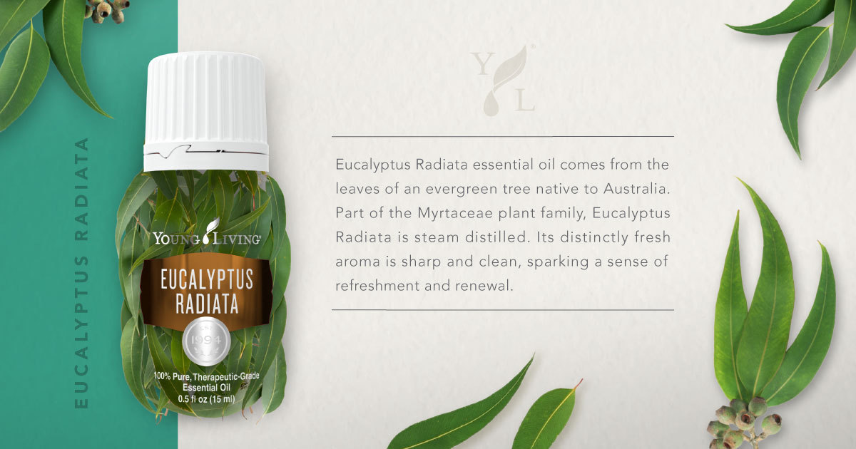 youngliving's tweet photo. Retweet this if you are a big fan of this essential oil! #yleo https://t.co/HIIDokjLCO