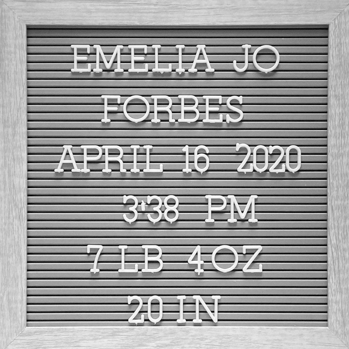 Jamie Forbes tweet media