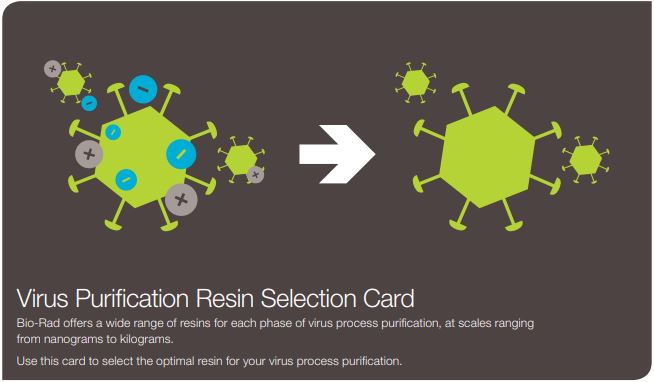 BioRad's tweet photo. Resin selection card for virus/VLP purification https://t.co/fonw727JnJ #Chromatography #viruspurification #virus #vaccines https://t.co/84CrA1ibEd