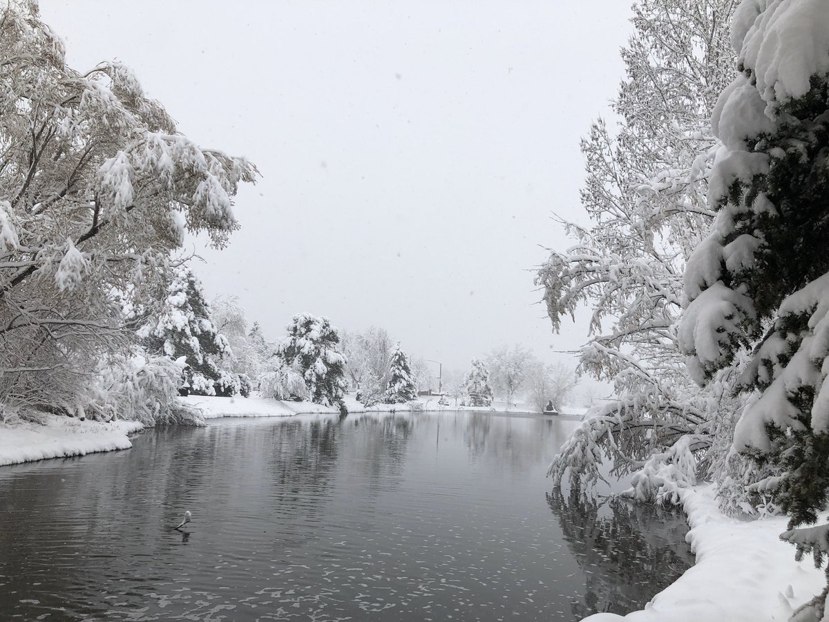 2/

Above the ice-bound streamlet bends
Each frozen fern with crystal ends.

But in that solemn silence
Is heard the whisper 
of every sleeping thing
Look, look at me
Come wake me up,
For still here I be. 

#willaimsharp #crystalforest