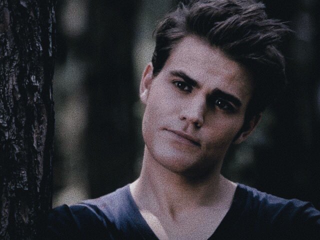 — stefan salvatore (the vampire diaries)