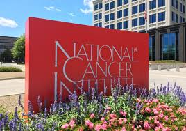 and a Reply to the post from  @FellegyVickie "I don't have cancer, but if I did, I would try this before I did chemo or radiation .  Clinical Trials Using Hydroxychloroquine - National Cancer Institute"184)  https://twitter.com/FellegyVickie/status/1250919522015600640A-113