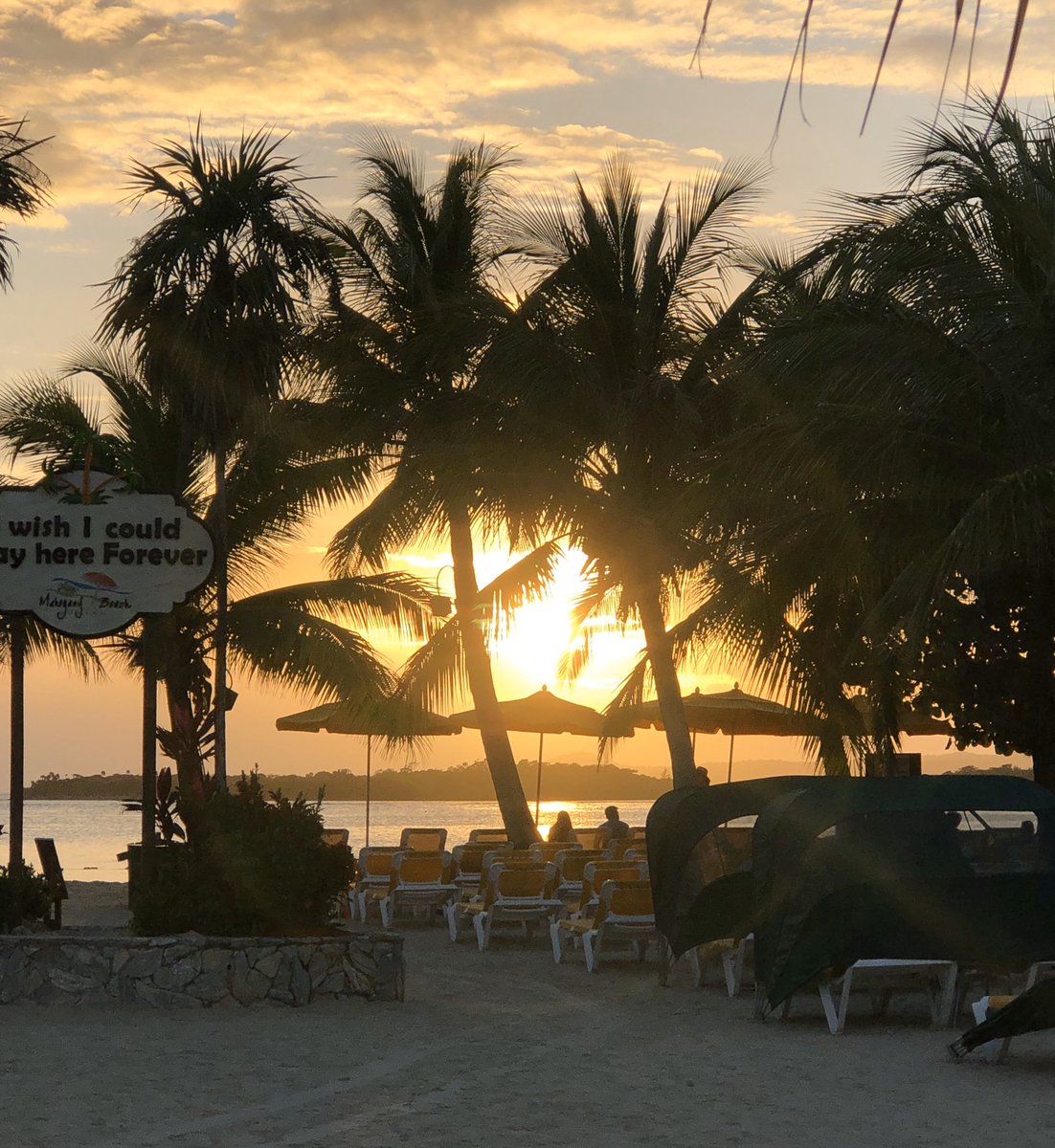 Shelby Kraus tweet media