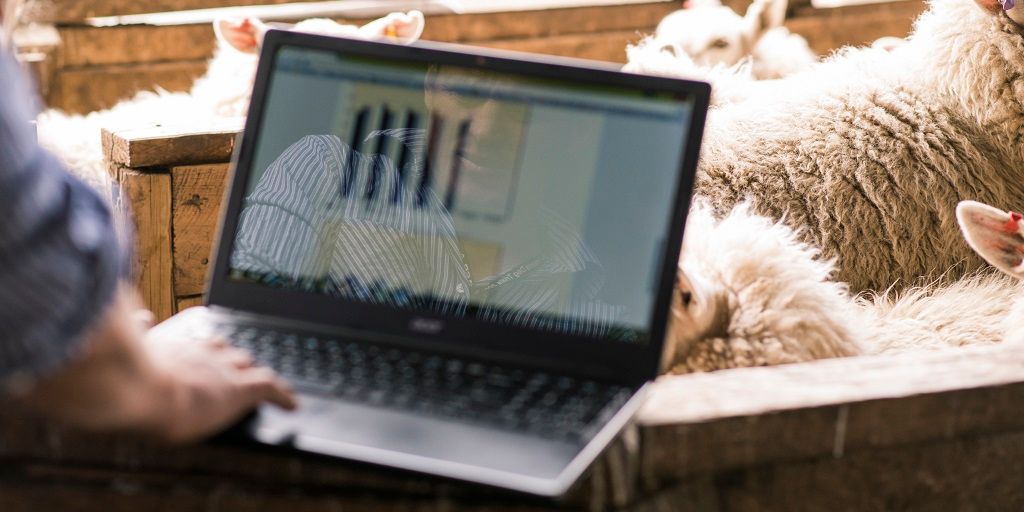 business_govtnz's tweet photo. Are you still unsure if you meet the criteria for the Wage Subsidy Scheme? Our Revenue Estimator can help you document your change in revenue and work out if you should apply in just 4 steps: https://t.co/uGbYpdW9zk https://t.co/3bTiGKroJH