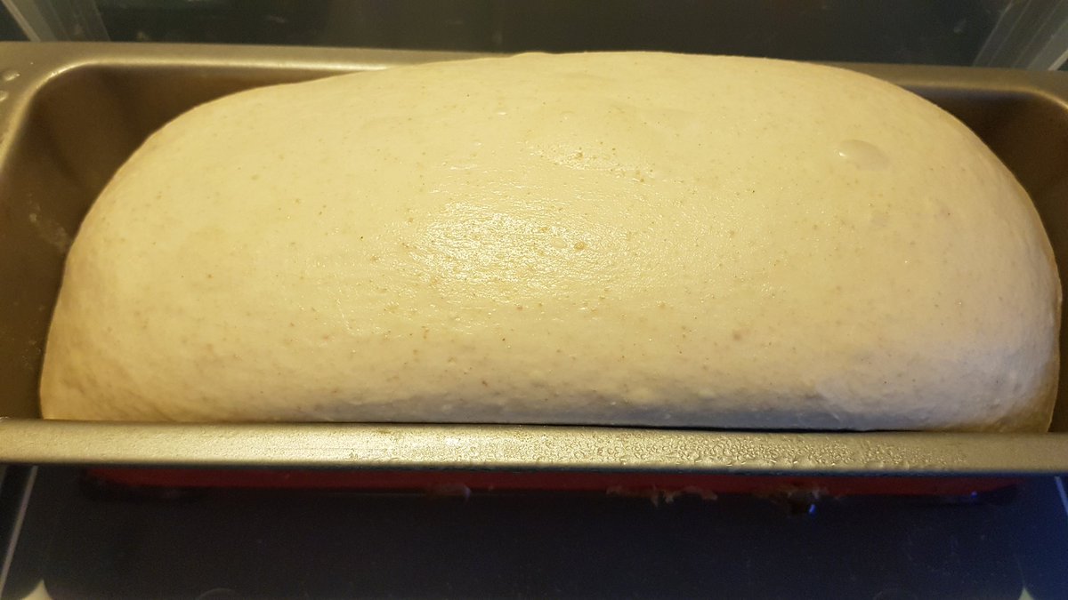 bergochdalvana's tweet image. Tar en sen morgon och tar det lugnt.  Tar en kaffe. Tar hand om den här lilla godbiten. Snart dags för gräddning. #sourdough #wildculture #YeastMasters
