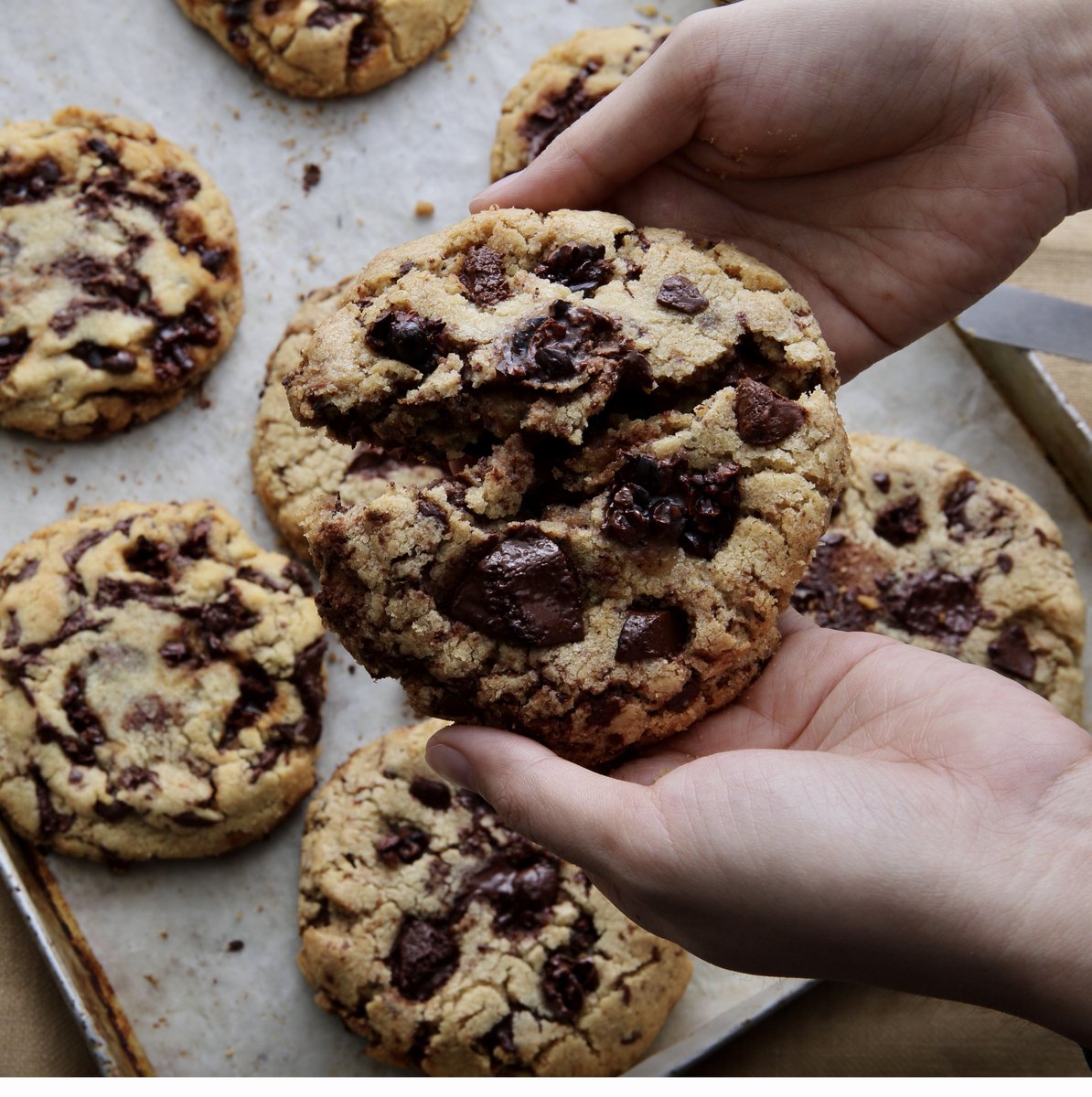 Malagos Chocolate tweet media