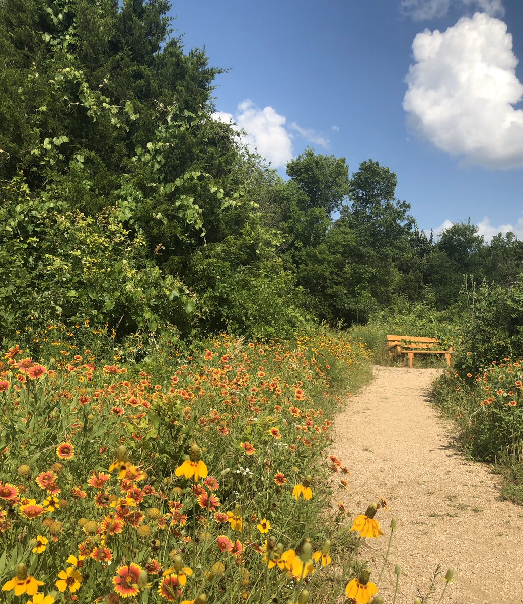 16pxl's tweet photo. aaaah i can’t wait for summer 💛 last yrs was so pretty !! 🌼🌻🌾✨ https://t.co/5NDgfxFvIl