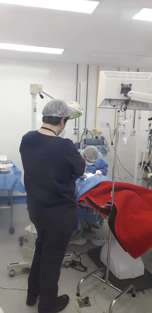Rayllan12426233's tweet photo. Só porque denunciaram. 
Antes E Depois da cirurgia da minha pequena . 🙏🥰 https://t.co/Ai2vKQrkMW