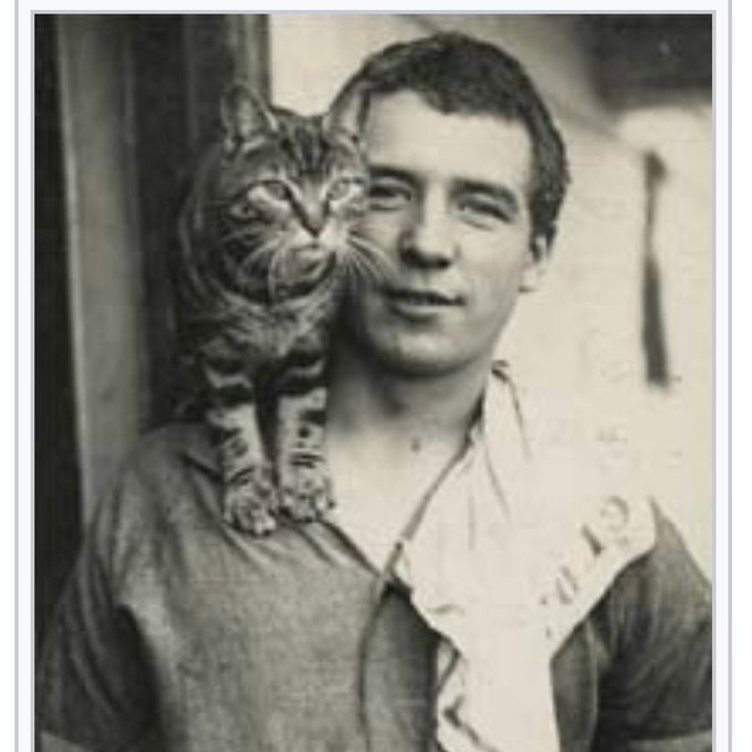 Mrs Chippy, a tiger-striped male tabby ship's cat 