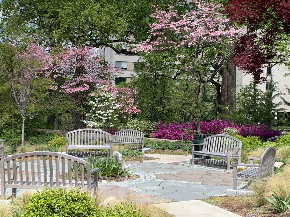 AUArboretum (@auarboretum) on Twitter photo While visiting the Unity Garden today <a href="/AmericanU/">American University</a>, it was obvious why traditional Dogwoods and Azaleas are garden favorites! While visiting the Unity Garden today <a href="/AmericanU/">American University</a>, it was obvious why traditional Dogwoods and Azaleas are garden favorites!