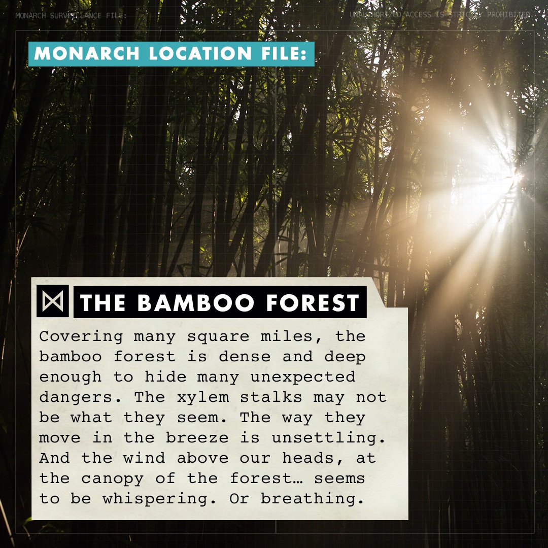 Monarch Location File: The Bamboo Forest  #MonsterverseWatchalong