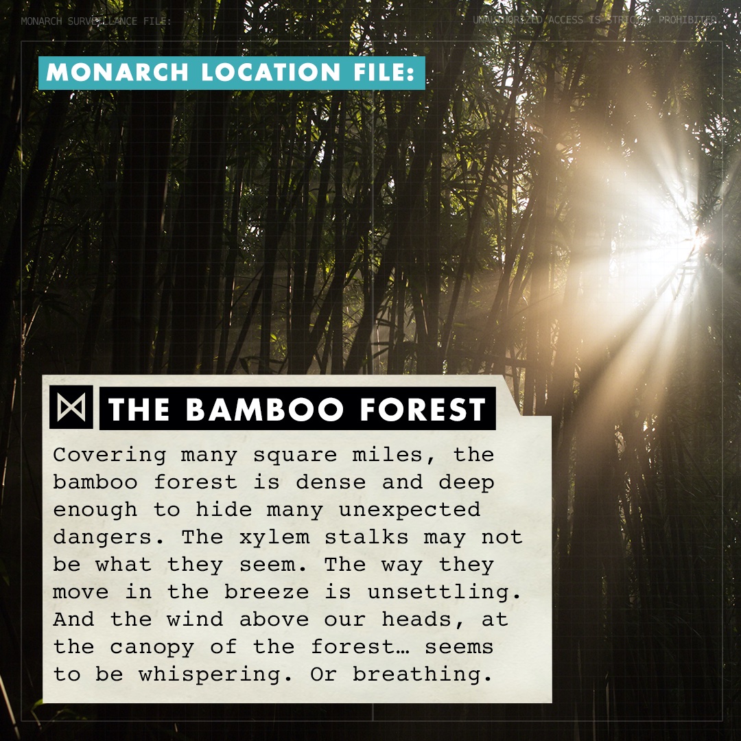 Monarch Location File: The Bamboo Forest #MonsterverseWatchalong