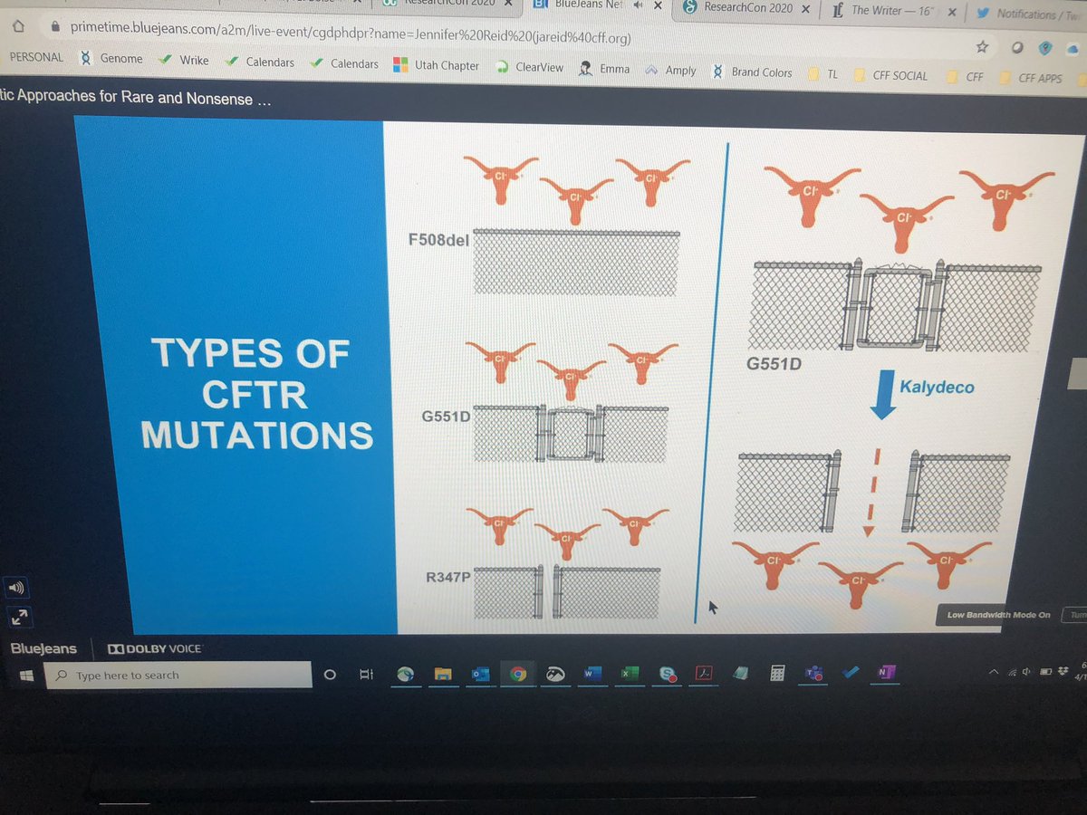CFFUtahIdaho's tweet photo. Cattle analogy for #cysticfibrosis and #mutation therapeutic approaches by Dr Thomas and Dr Haggie at #ResearchCon 🐄#effective and #understandable 👍👏 #CFresearch @CF_Foundation https://t.co/nWktr7mJf5
