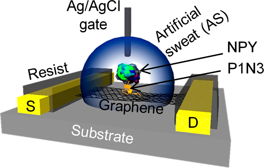 nanotrac's tweet photo. ACS ANIM [ASAP] Graphene-Based Electrolyte-Gated Field-Effect Transistors for Potentiometrically Sensing… https://t.co/pF55iKqsA9 Via @ACS_ANM #ACSAppliedNanoMaterials #InterdisciplinaryJournal #NanoMaterials #Graphene #MetallicNanoparticles #Engineering #2DMaterials https://t.co/2Upev4C2WT