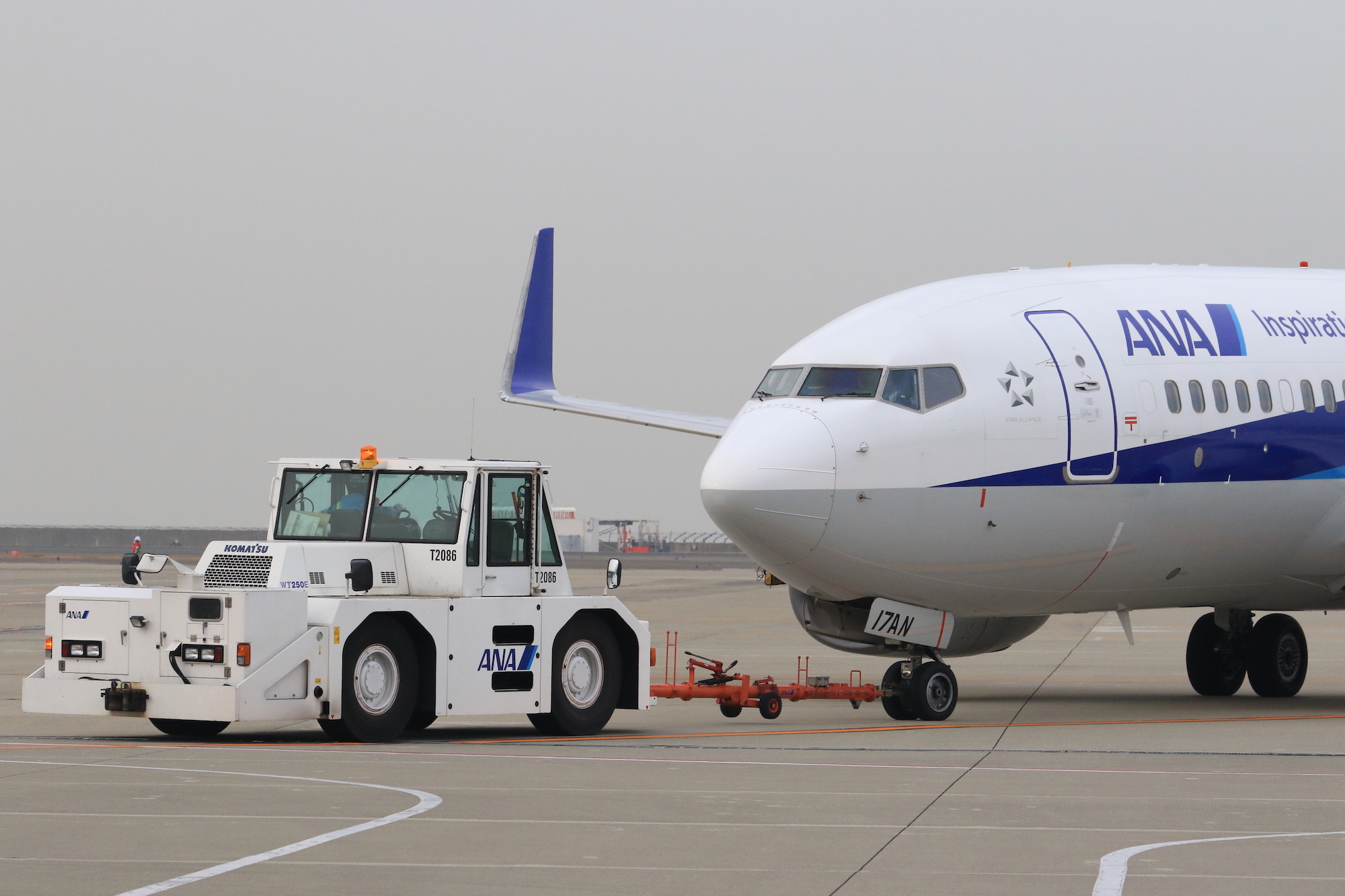 中部国際空港セントレア セントレア働く車図鑑 トーイングトラクター トーイングカー 通常飛行機はバックができないため 出発時に飛行機を所定の位置まで押し出したり スポットを移動する際に牽引するためのクルマ 小さいながらかなり