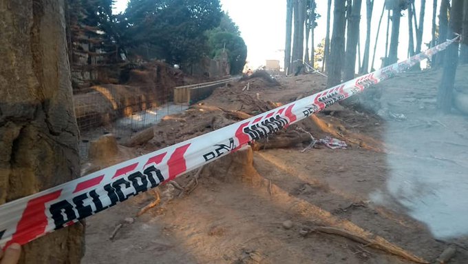 canal_chile's tweet photo. Algarrobo: Denuncian destrucción del Parque Canelo-Canelillo por proyecto de «mejoramiento» https://t.co/rHfGwF1mT1 https://t.co/Wid99dMvWZ