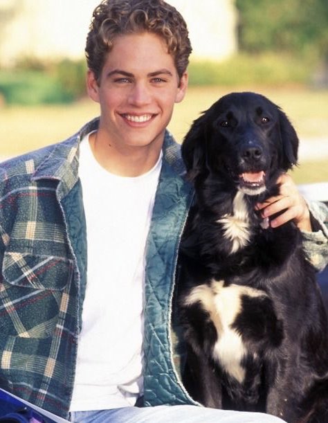 Paul Walker tweet media